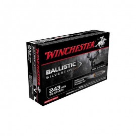 Winchester 243w Ballistic Silvertip 95 Gr