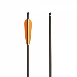Flecha Ballesta Zasdar Carbon Multicapa 22''