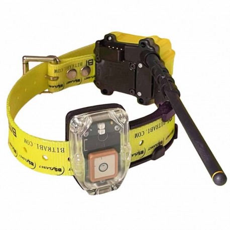 Collar Radio + GPS para perros de caza MITO 5100 BITRABI