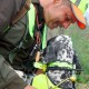 Mando localizador especial perros de muestra BS3003 Evomap Elite BITRABI