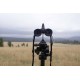 Prismaticos Zeiss Conquest HDX 8x56