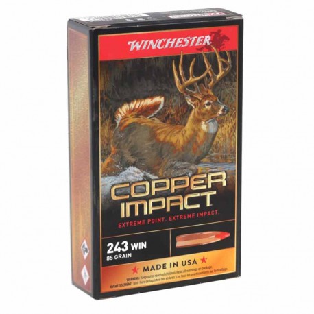 Winchester 243w Extreme Point Cooper Impact 85 gr