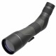 Telescopio LEUPOLD SX-2 Alpine HD GEN 2 20-60x80 - 45°