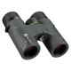 ALPEN OPTICS Chisos 6.5x32 ED Prismáticos con recubrimiento PXA