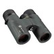 ALPEN OPTICS Chisos 8x32 ED Prismáticos con revestimiento PXA