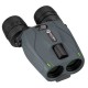ALPEN OPTICS Apex Steady HD 16x30 Prismáticos con estabilizador de imagen