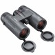 Prismático BUSHNELL NITRO - 10x36 negro