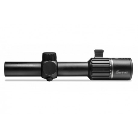 Burris RT6 1-6x24